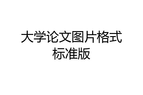 大学论文图片格式标准版