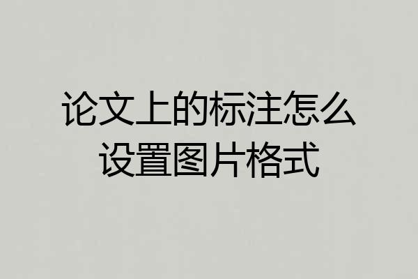 论文上的标注怎么设置图片格式