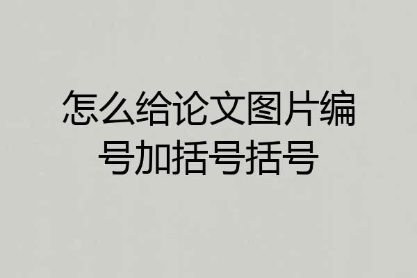 怎么给论文图片编号加括号括号