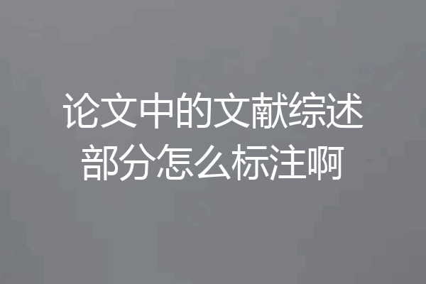论文中的文献综述部分怎么标注啊