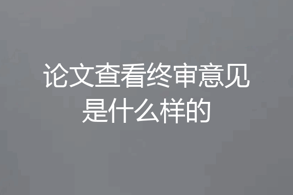 论文查看终审意见是什么样的