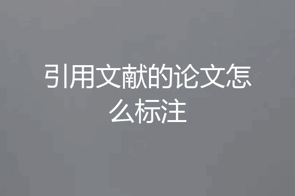 引用文献的论文怎么标注
