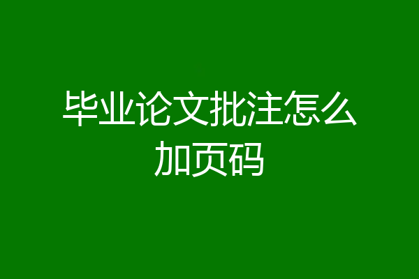 毕业论文批注怎么加页码