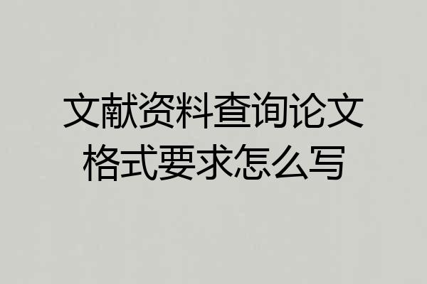 文献资料查询论文格式要求怎么写