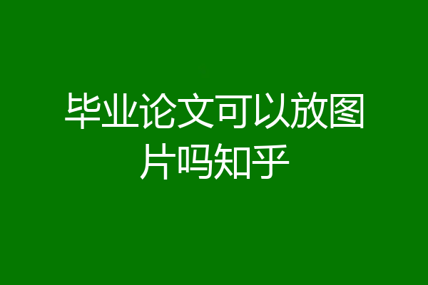 毕业论文可以放图片吗知乎