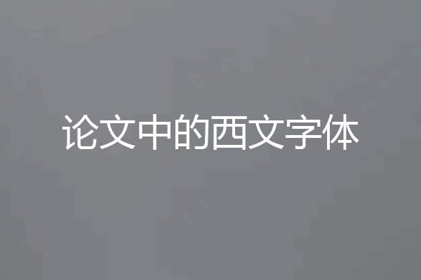 论文中的西文字体