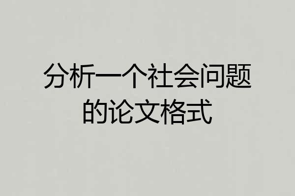 分析一个社会问题的论文格式