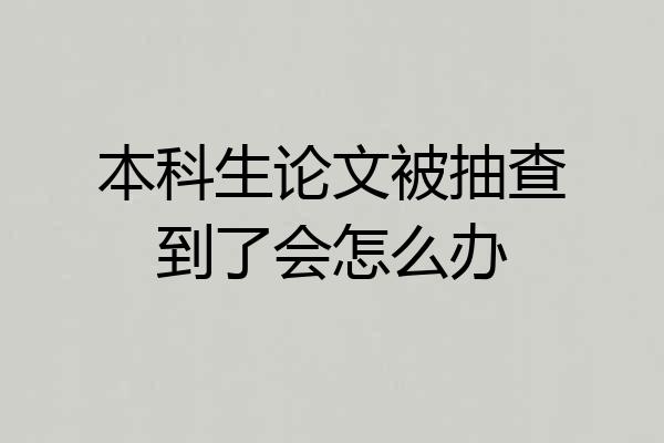 本科生论文被抽查到了会怎么办