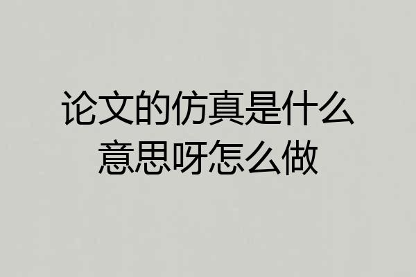 论文的仿真是什么意思呀怎么做