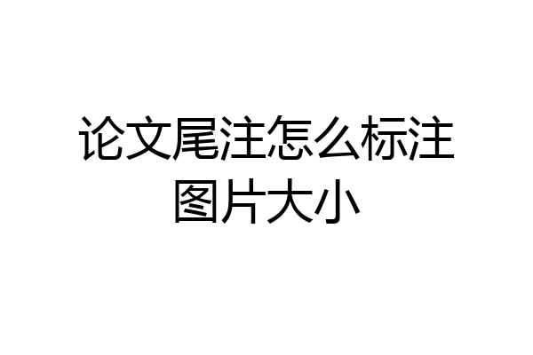 论文尾注怎么标注图片大小