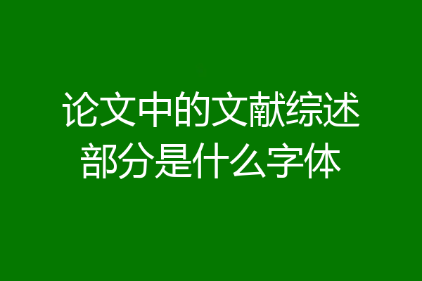论文中的文献综述部分是什么字体
