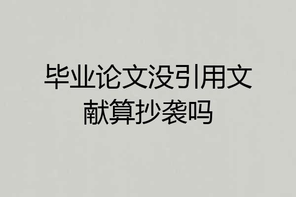 毕业论文没引用文献算抄袭吗