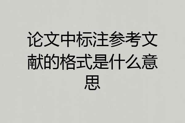 论文中标注参考文献的格式是什么意思