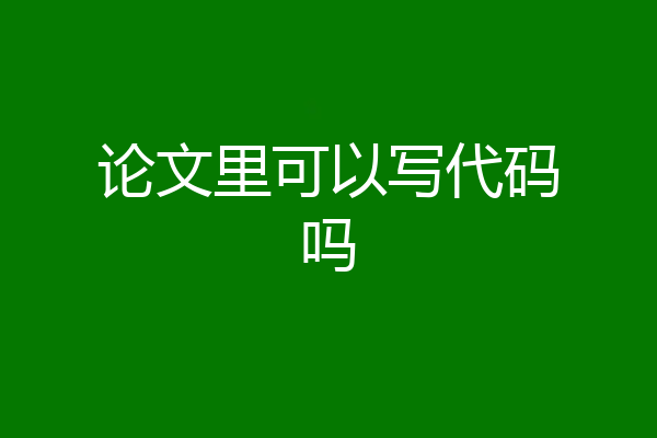 论文里可以写代码吗