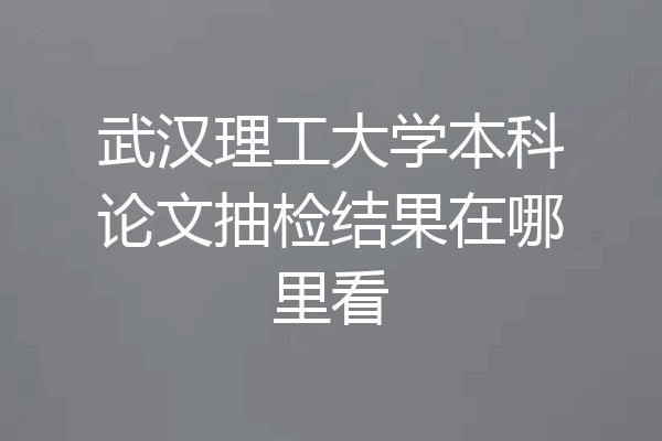 武汉理工大学本科论文抽检结果在哪里看