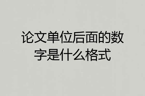论文单位后面的数字是什么格式