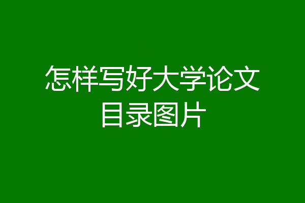 怎样写好大学论文目录图片