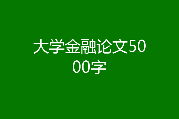 大学金融论文5000字