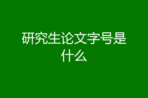 研究生论文字号是什么