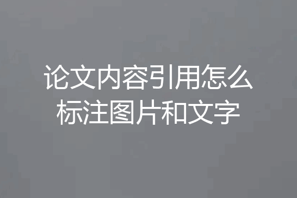 论文内容引用怎么标注图片和文字