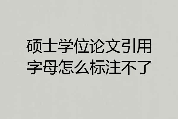 硕士学位论文引用字母怎么标注不了