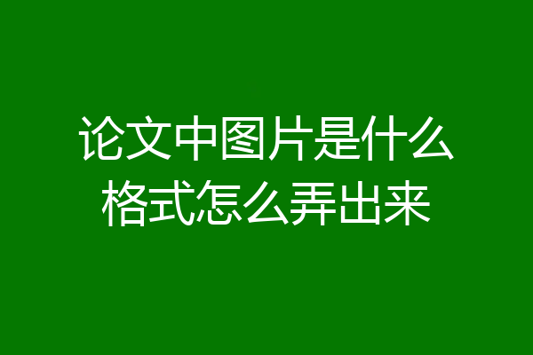 论文中图片是什么格式怎么弄出来