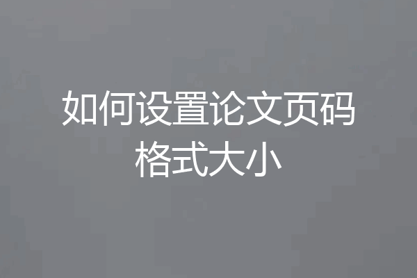 如何设置论文页码格式大小