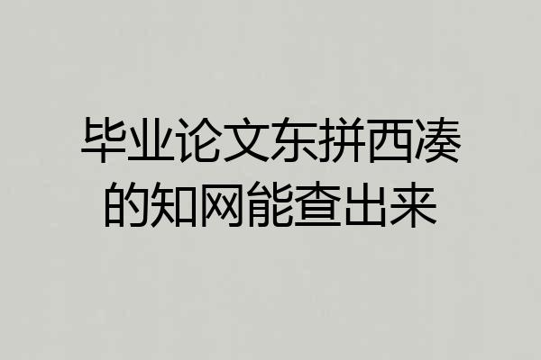 毕业论文东拼西凑的知网能查出来