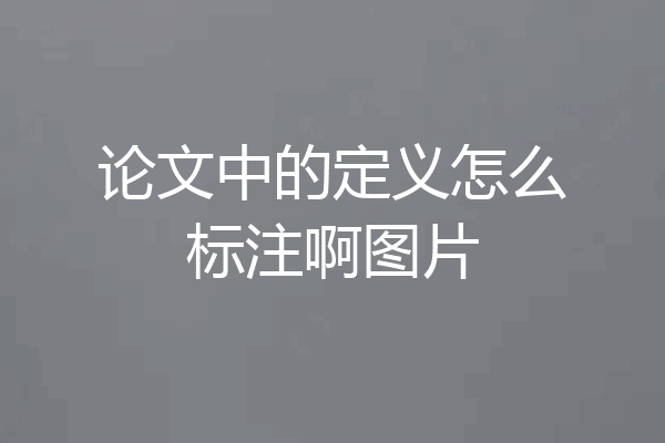 论文中的定义怎么标注啊图片