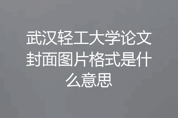 武汉轻工大学论文封面图片格式是什么意思