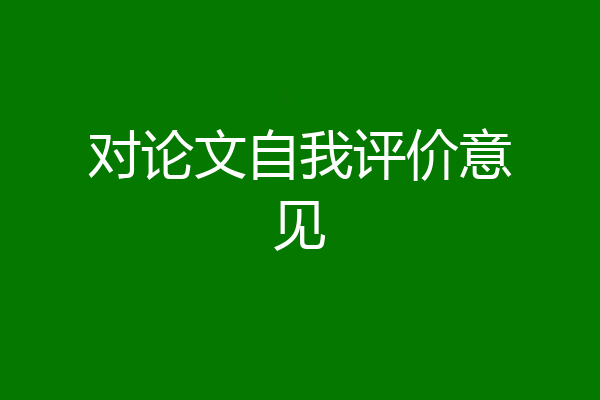 对论文自我评价意见