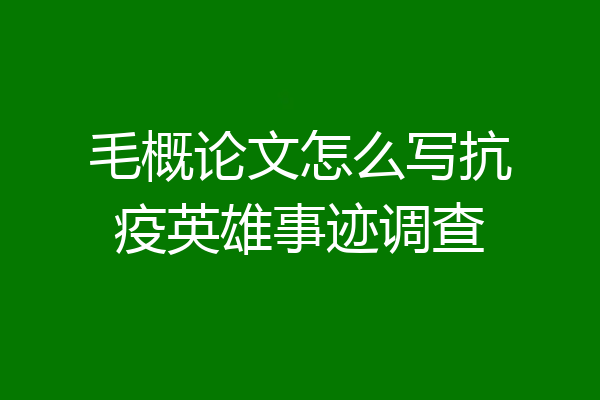毛概论文怎么写抗疫英雄事迹调查