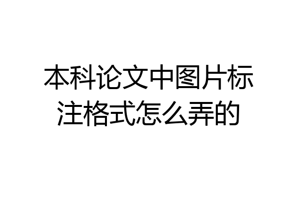 本科论文中图片标注格式怎么弄的