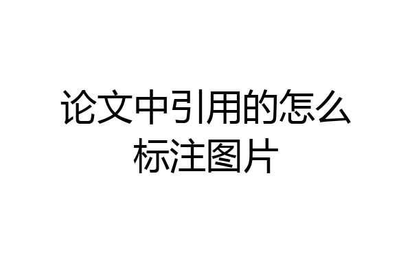 论文中引用的怎么标注图片