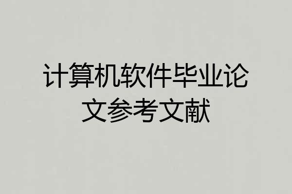 计算机软件毕业论文参考文献
