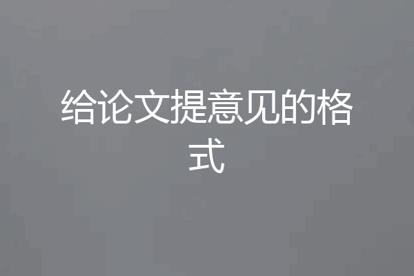 给论文提意见的格式