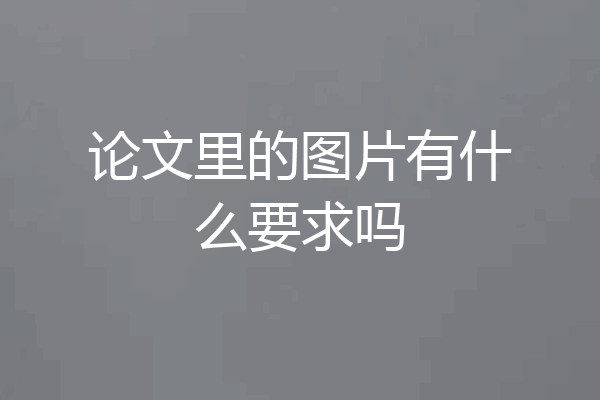 论文里的图片有什么要求吗