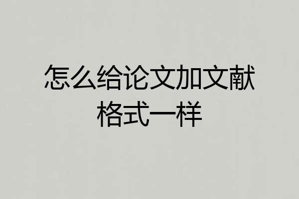 怎么给论文加文献格式一样