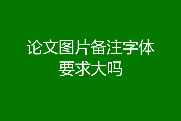 论文图片备注字体要求大吗