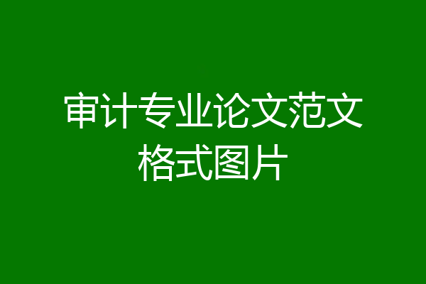 审计专业论文范文格式图片