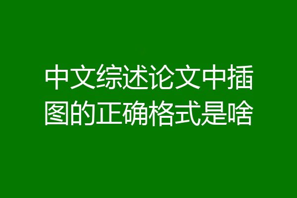 中文综述论文中插图的正确格式是啥