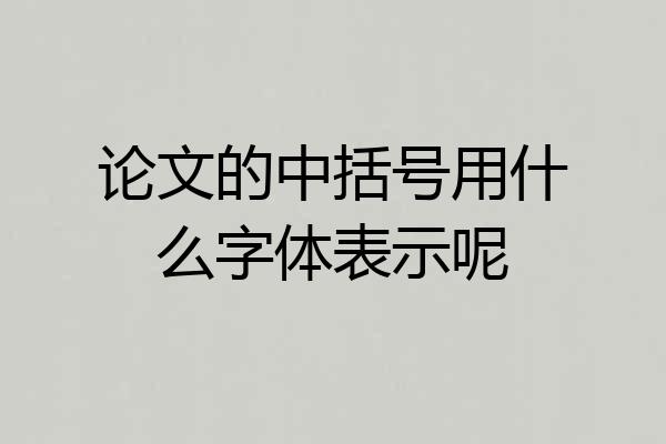 论文的中括号用什么字体表示呢