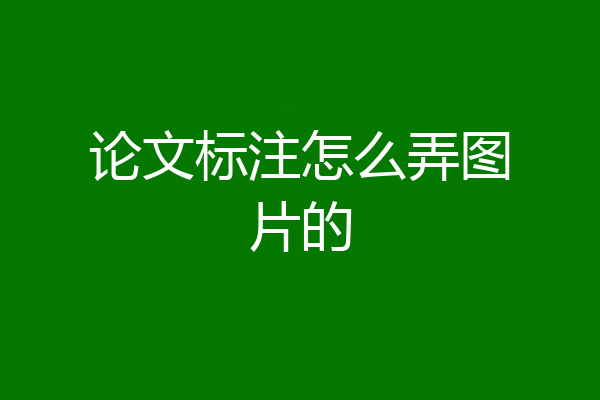 论文标注怎么弄图片的