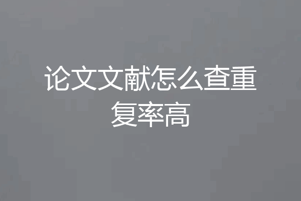 论文文献怎么查重复率高