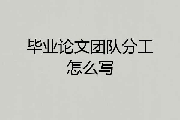 毕业论文团队分工怎么写
