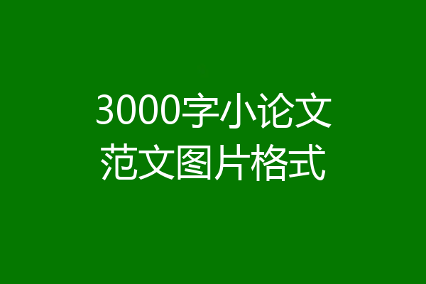 3000字小论文范文图片格式