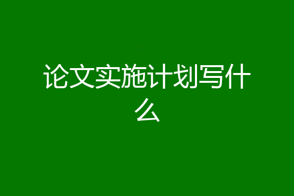 论文实施计划写什么