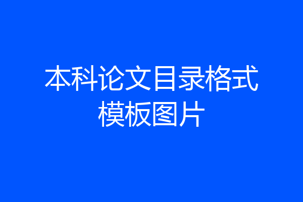 本科论文目录格式模板图片