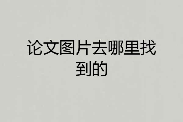 论文图片去哪里找到的