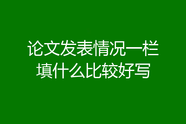 论文发表情况一栏填什么比较好写